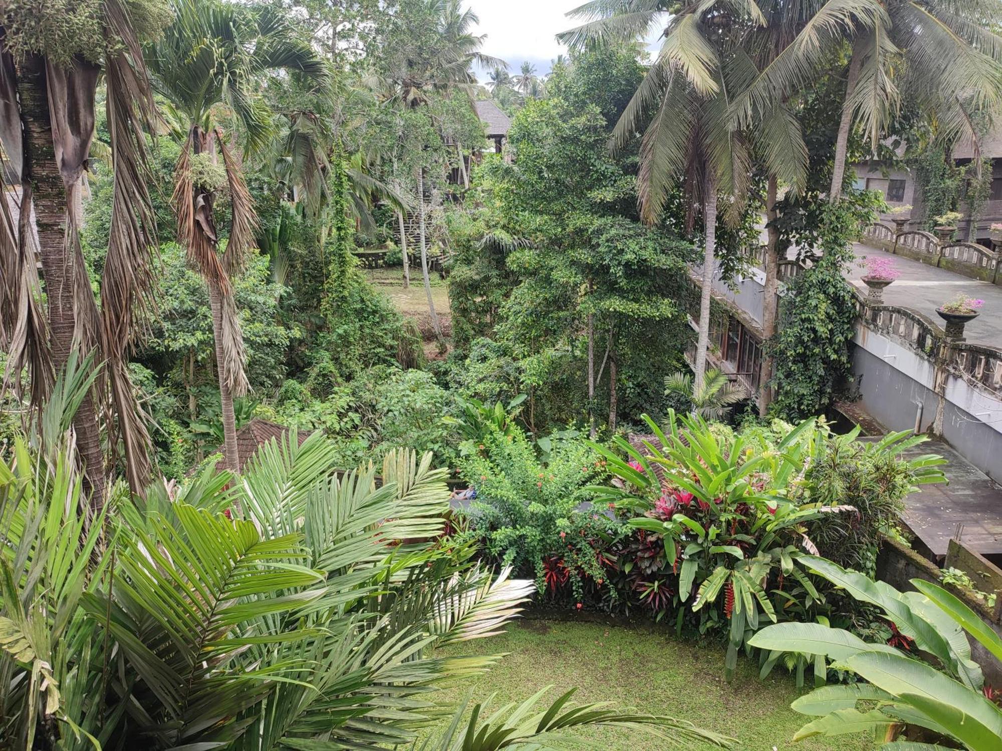 Sari Wangi Cottage Ubud Kültér fotó