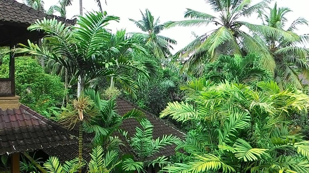 Sari Wangi Cottage Ubud Kültér fotó