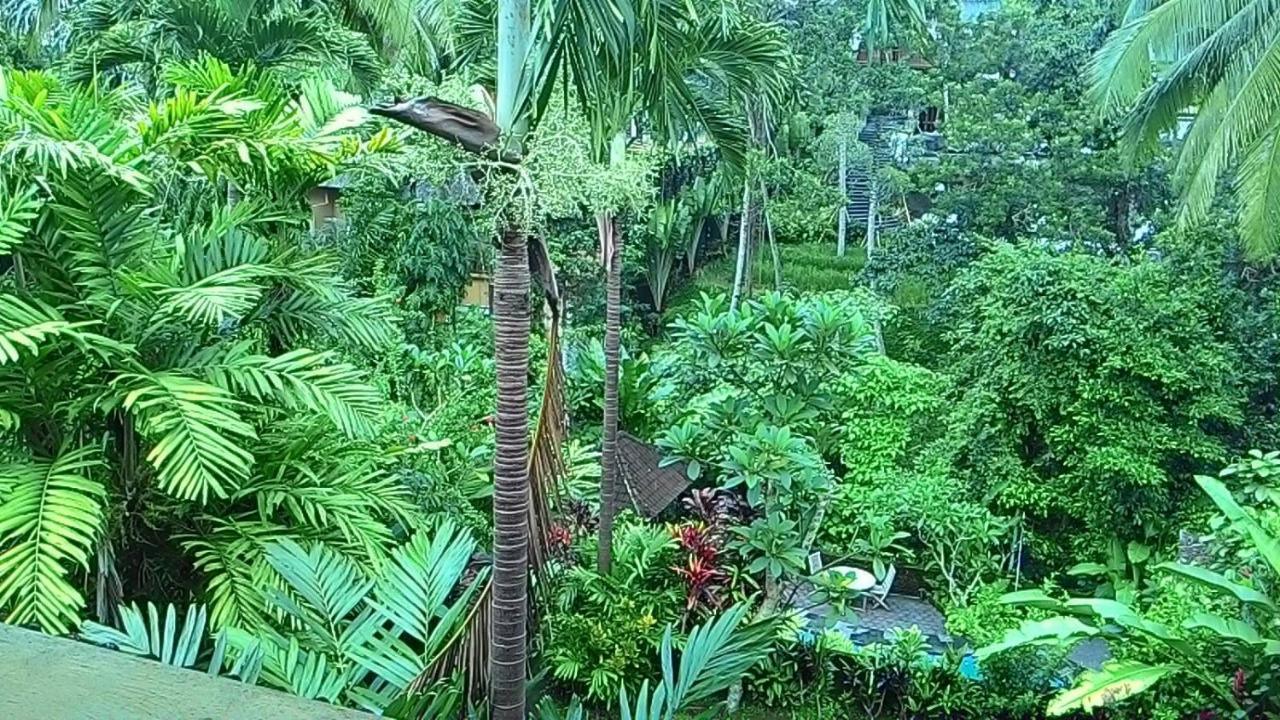 Sari Wangi Cottage Ubud Kültér fotó